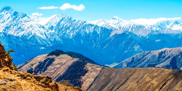 в Махачкалу