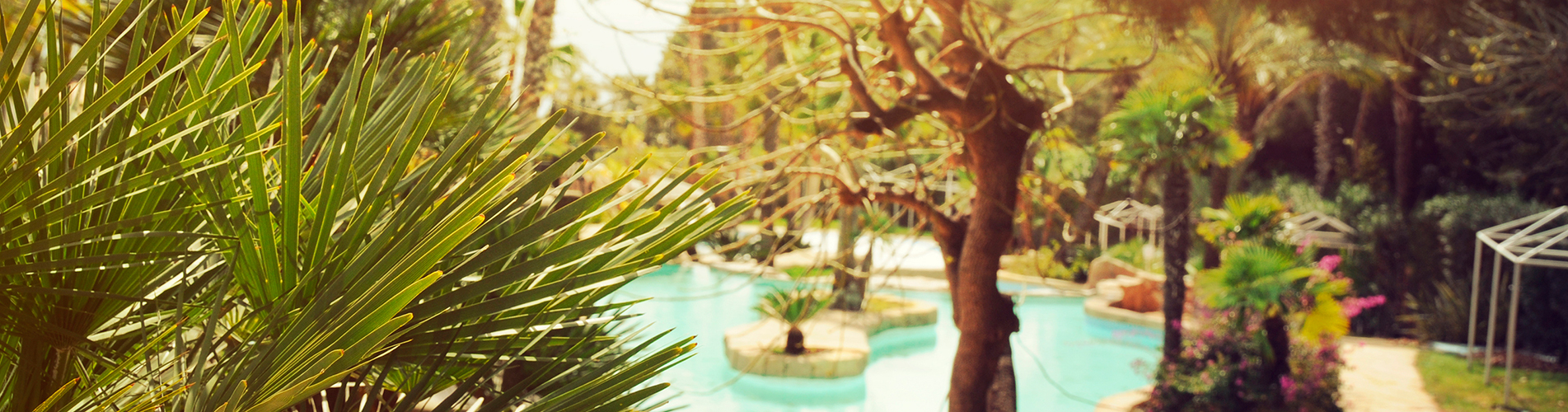 Победа авиабилеты из Алжира