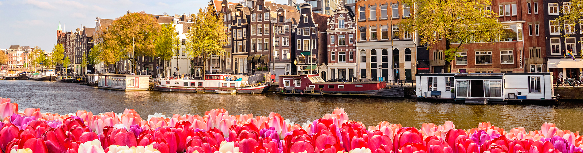 Победа авиабилеты из Амстердама