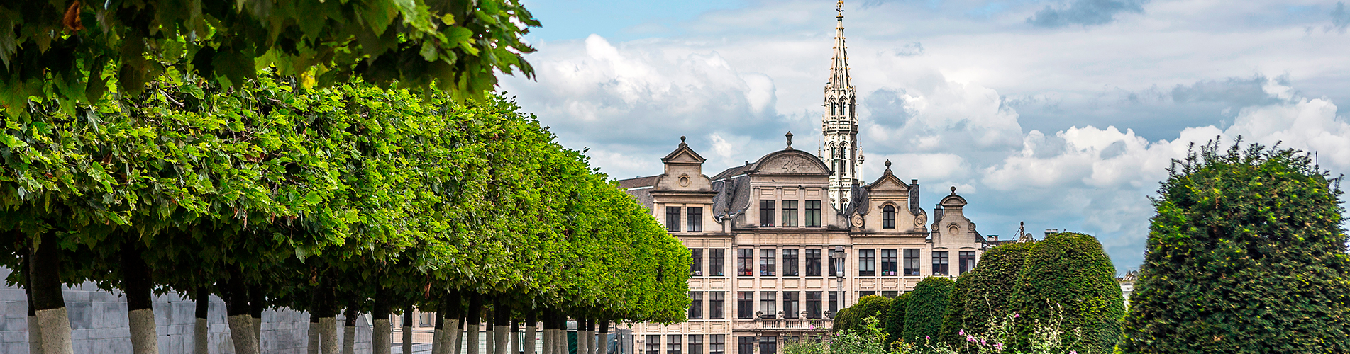 Победа авиабилеты из Брюгге