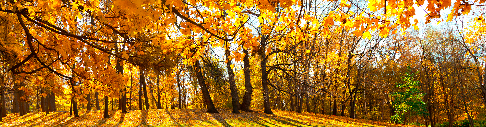 Дешевые авиабилеты в Орск