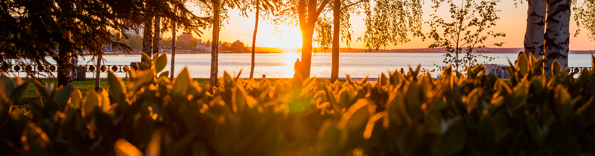 Победа авиабилеты из Петрозаводска