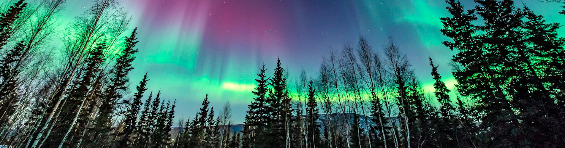 Победа авиабилеты из Салехарда