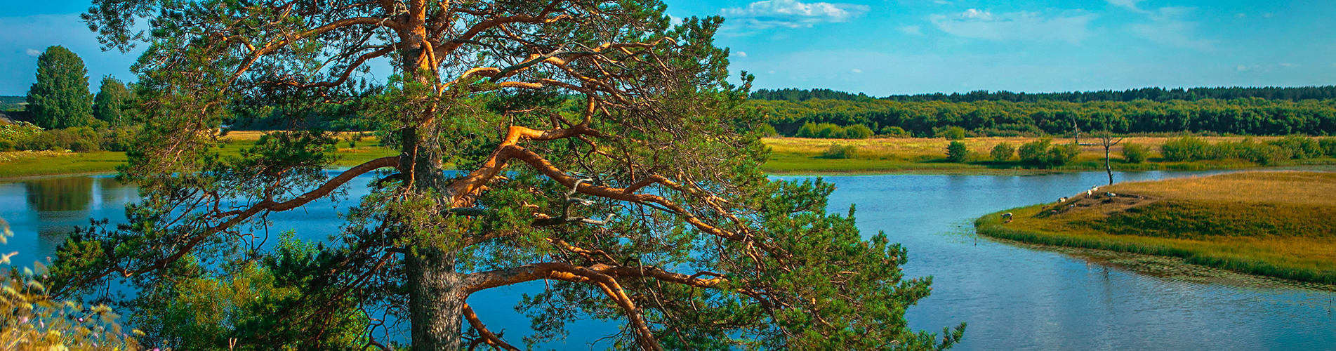 Победа авиабилеты из Ухты