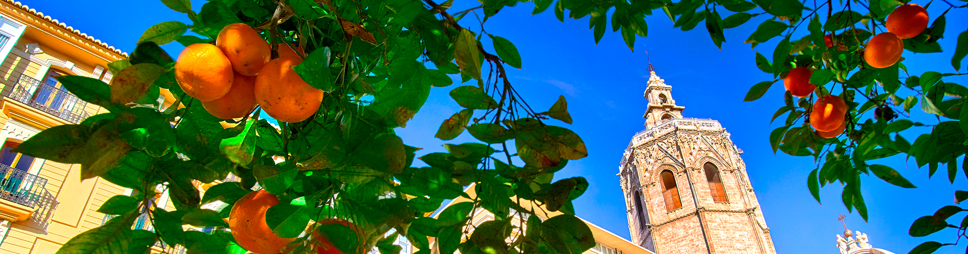 Дешевые авиабилеты в Валенсию